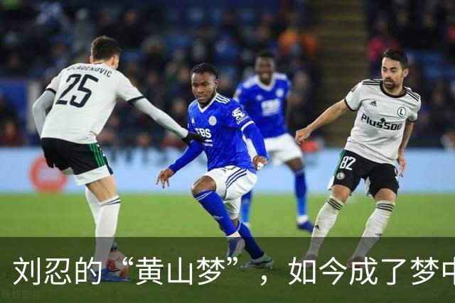 刘忍的“黄山梦”，如今成了梦中的陷阱